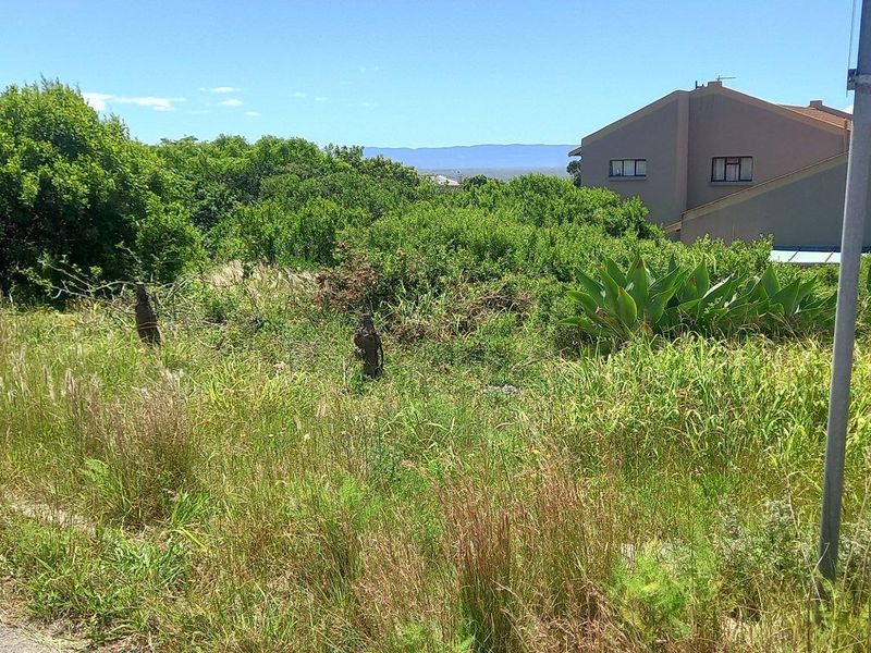 A view of an undeveloped residential plot featuring natural vegetation and a utility pole, with neighboring properties visible in the background.