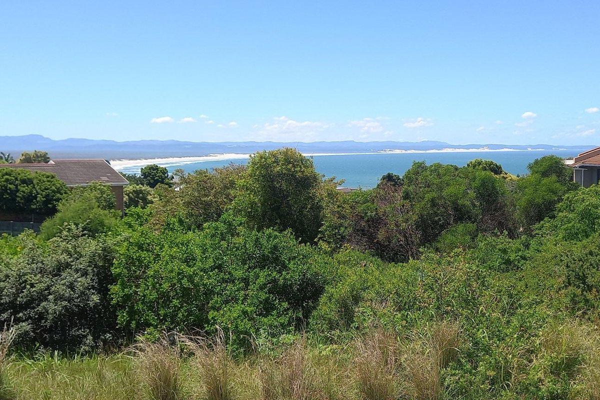 A scenic elevated view overlooking the coastline, ocean, and surrounding residential landscape.