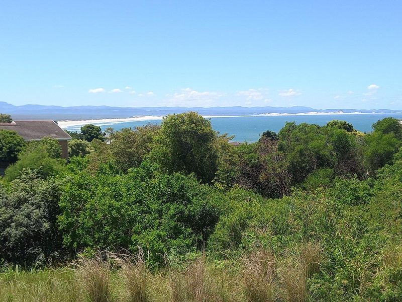 A scenic elevated view overlooking the coastline, ocean, and surrounding residential landscape.