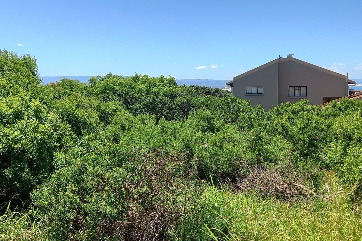 A view of the surrounding landscape and native vegetation from the vacant residential property.