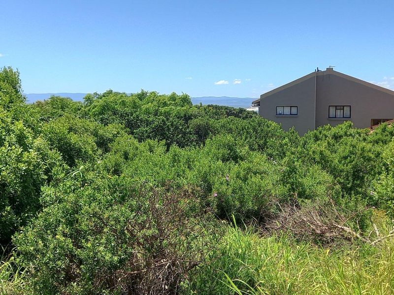 A view of the surrounding landscape and native vegetation from the vacant residential property.