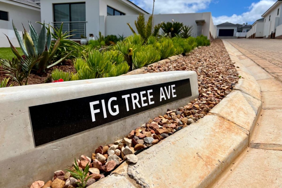 A clear street-level view of Fig Tree Avenue, showcasing well-maintained landscaping, concrete curbing, and paved driveway access to the residential property.