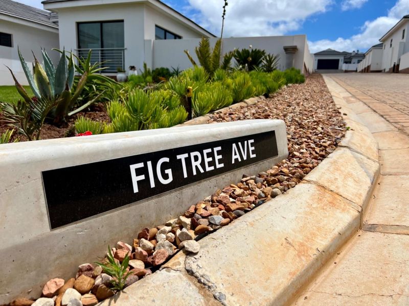 A clear street-level view of Fig Tree Avenue, showcasing well-maintained landscaping, concrete curbing, and paved driveway access to the residential property.