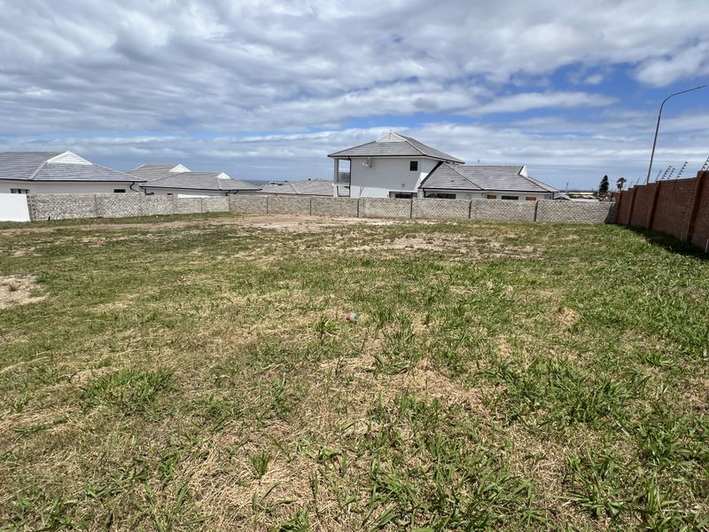 A vacant residential plot featuring a level grassed area enclosed by perimeter boundary walls in a developed neighborhood.