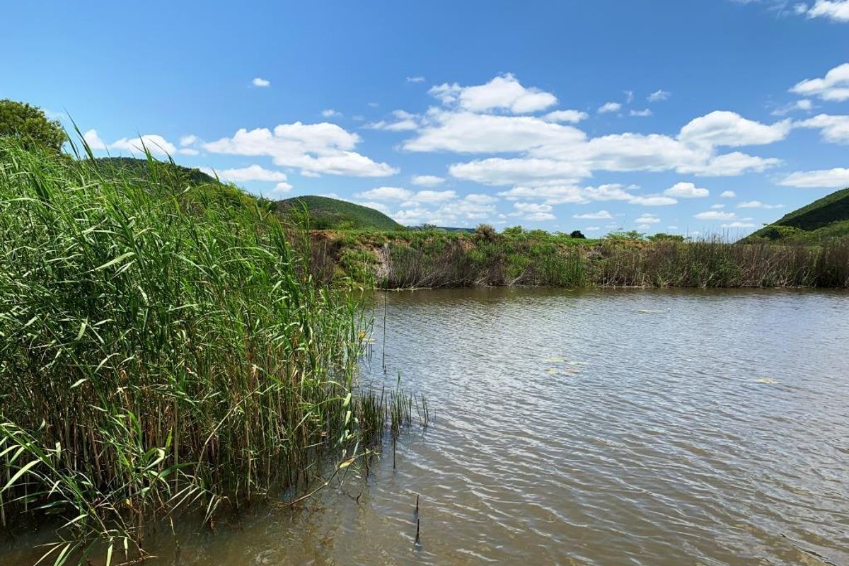 Vacant stand: Kranspoort Vakansiedorp Golf Estate - Photo 5