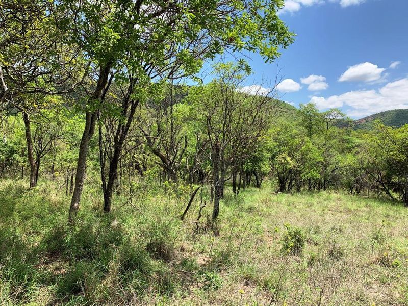 Vacant stand: Kranspoort Vakansiedorp Golf Estate - Photo 9