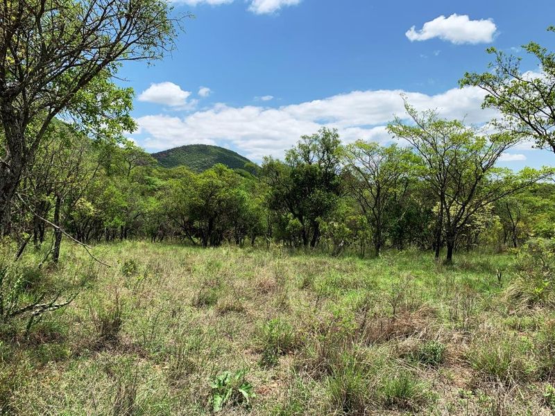 Vacant stand: Kranspoort Vakansiedorp Golf Estate - Photo 7