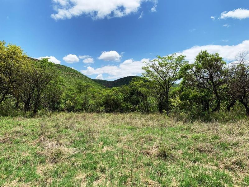 Vacant stand: Kranspoort Vakansiedorp Golf Estate - Photo 6