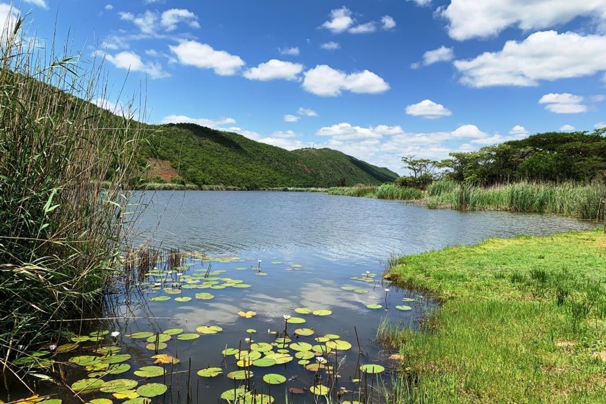 Vacant stand: Kranspoort Vakansiedorp Golf Estate - Photo 2