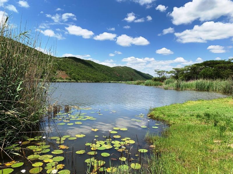Vacant stand: Kranspoort Vakansiedorp Golf Estate - Photo 2