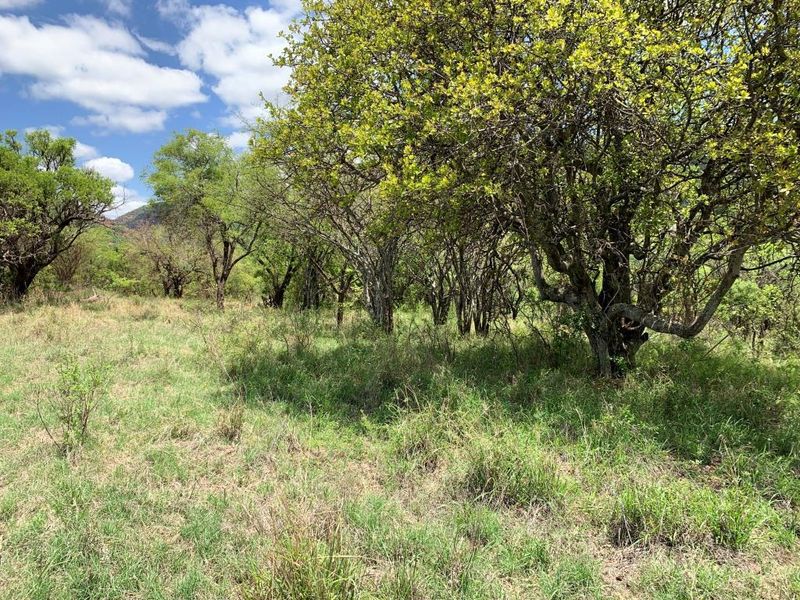 Vacant stand: Kranspoort Vakansiedorp Golf Estate - Photo 8