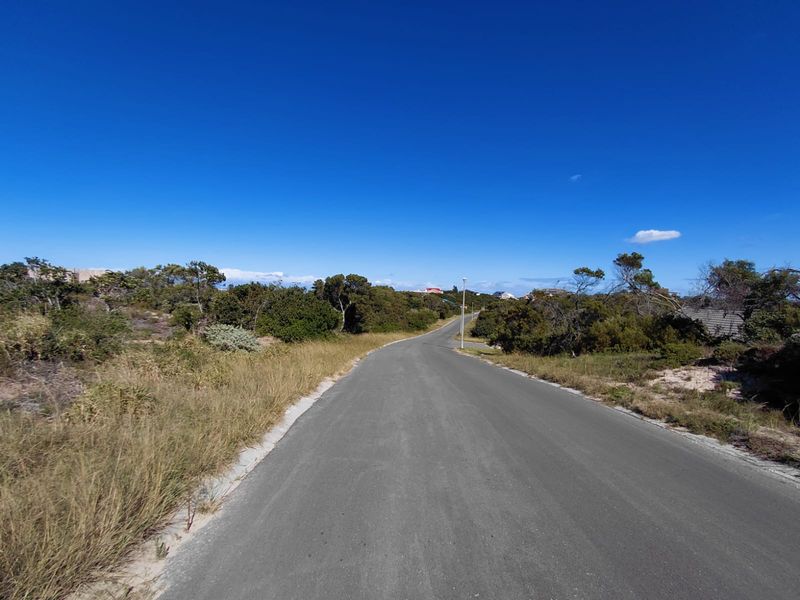 A clear view of the paved residential street leading through the coastal landscape, featuring established vegetation and street lighting.