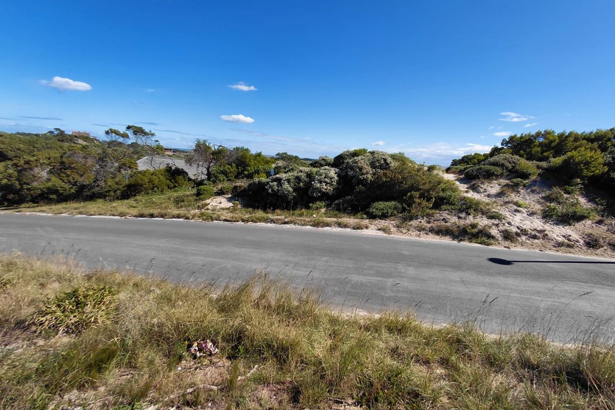 A view of the asphalt road bordering the vacant residential land, featuring natural coastal vegetation and sand dunes.