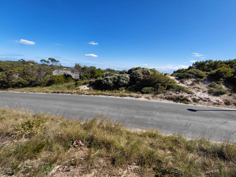 A view of the asphalt road bordering the vacant residential land, featuring natural coastal vegetation and sand dunes.