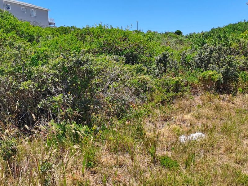 A view of a vacant residential plot featuring natural coastal vegetation and surrounding residential properties.