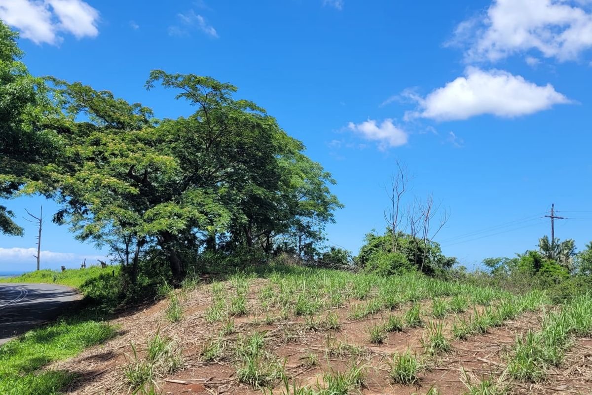 A 134 Ha farm in the greater Ballito Area - Photo 3