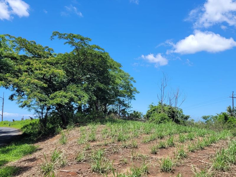 A 134 Ha farm in the greater Ballito Area - Photo 3