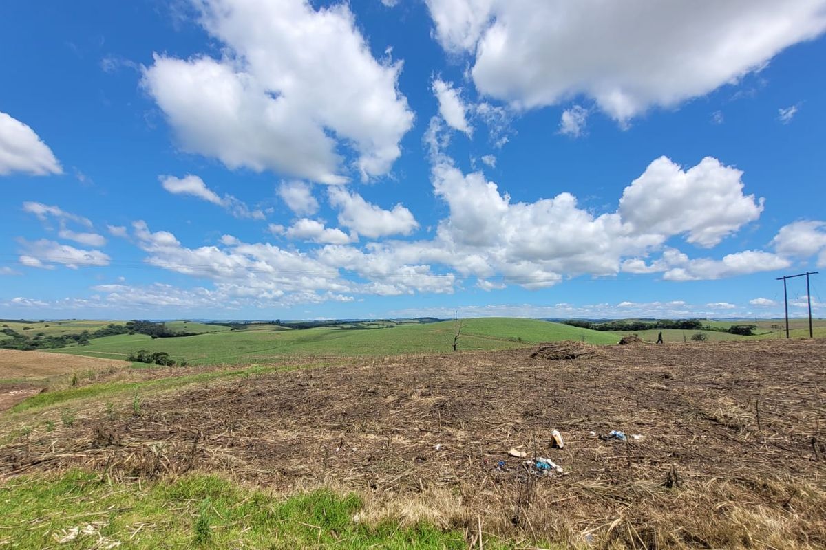 A 134 Ha farm in the greater Ballito Area - Photo 5