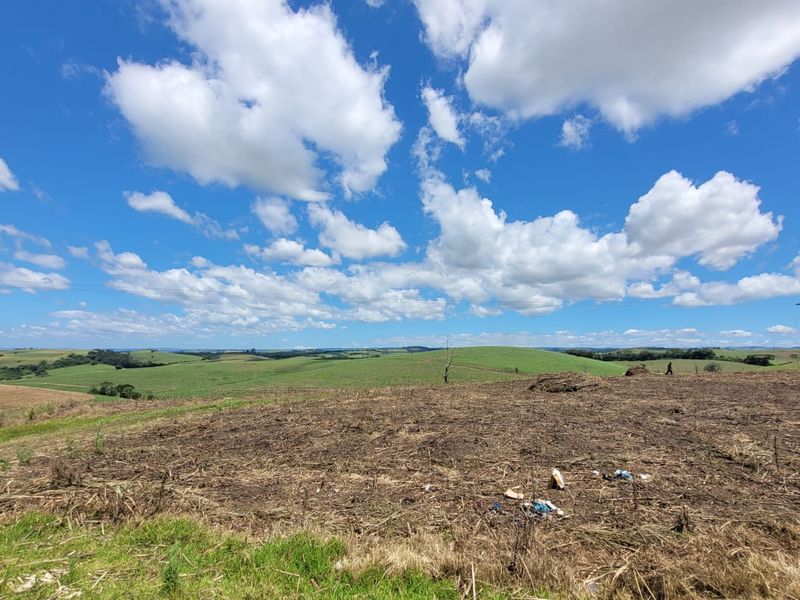 A 134 Ha farm in the greater Ballito Area - Photo 5