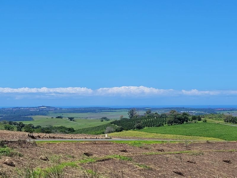 A 134 Ha farm in the greater Ballito Area - Photo 9
