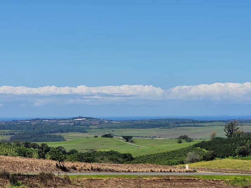 A 134 Ha farm in the greater Ballito Area - Photo 8