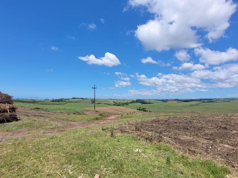 A 134 Ha farm in the greater Ballito Area - Photo 7