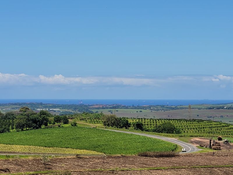 A 134 Ha farm in the greater Ballito Area - Photo 6