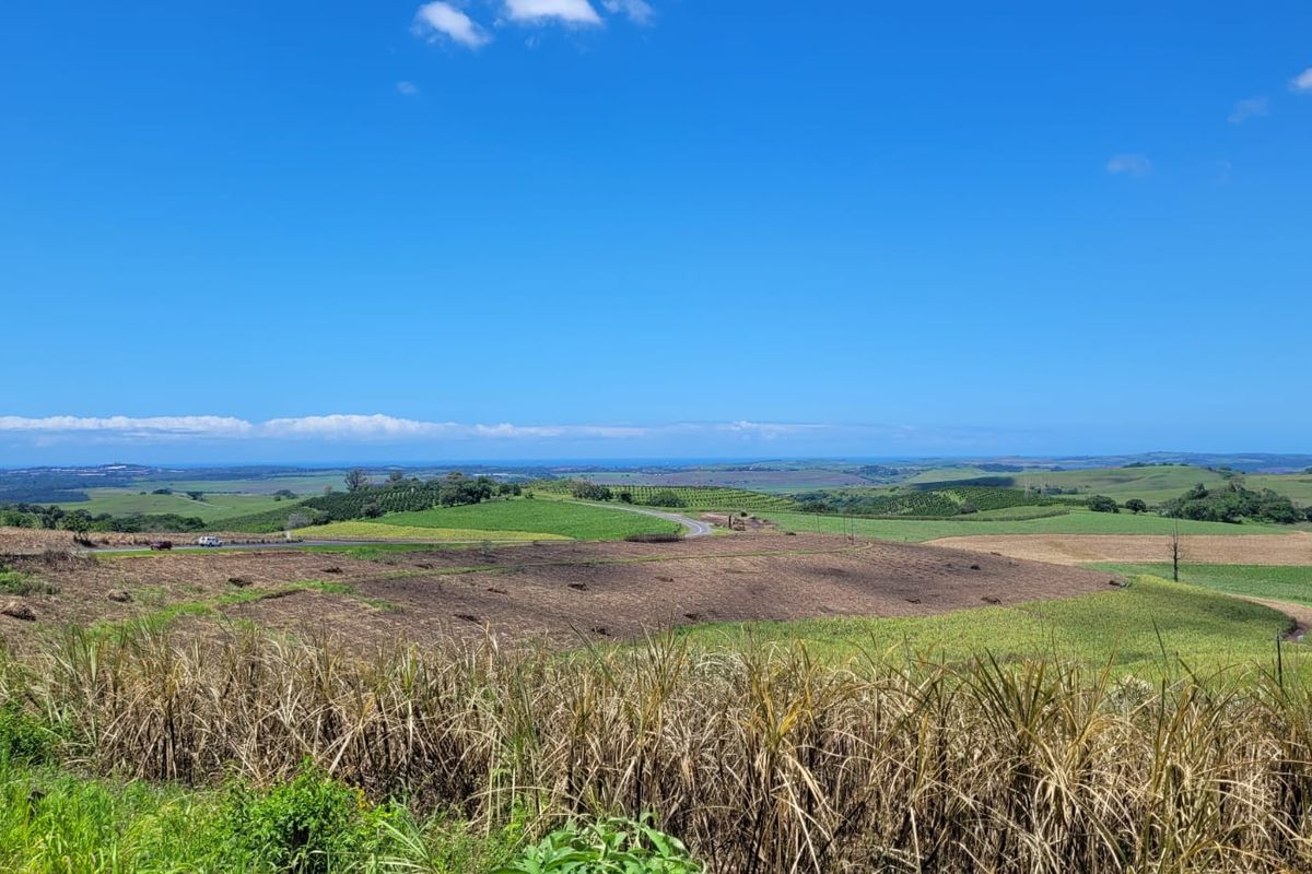A 134 Ha farm in the greater Ballito Area - Photo 2
