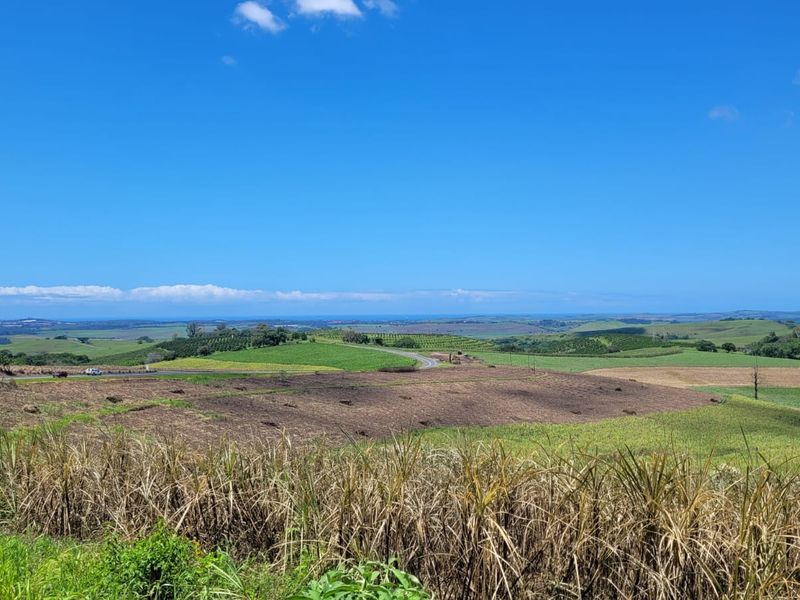 A 134 Ha farm in the greater Ballito Area - Photo 2