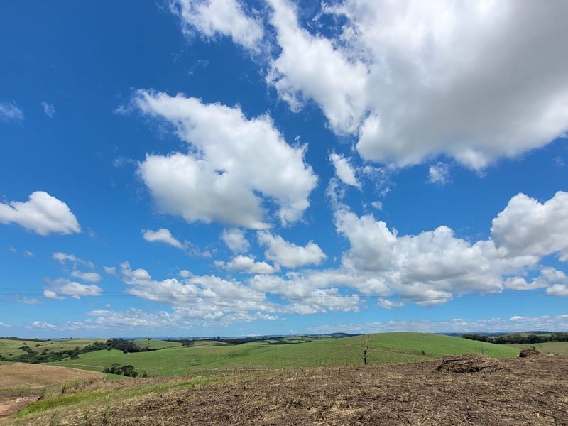 A 134 Ha farm in the greater Ballito Area - Photo 4