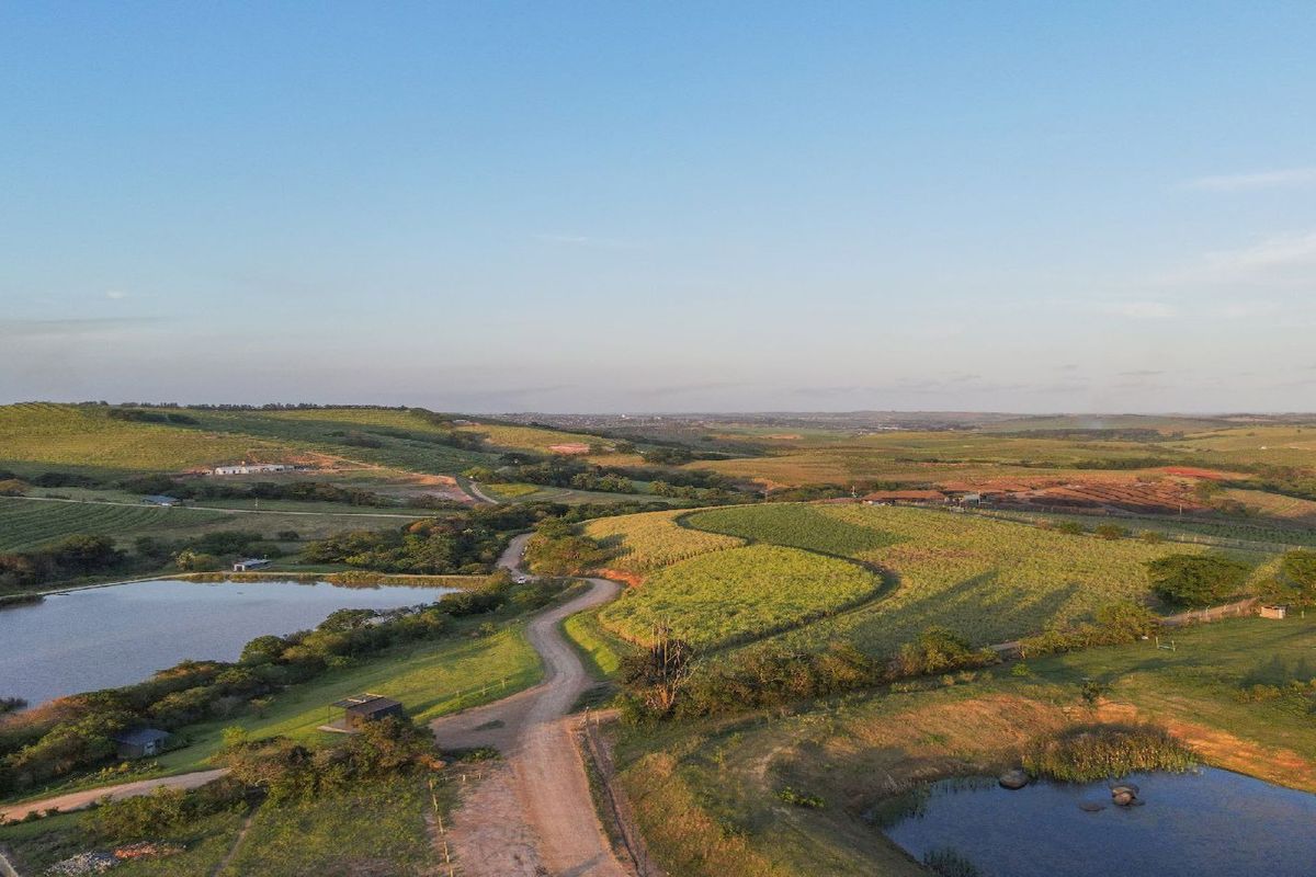 Farm living within a gated security estate, Fairview Estates - Photo 2