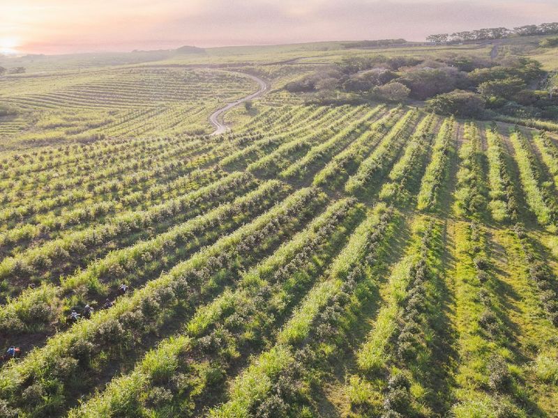 Farm living within a gated security estate, Fairview Estates - Photo 5