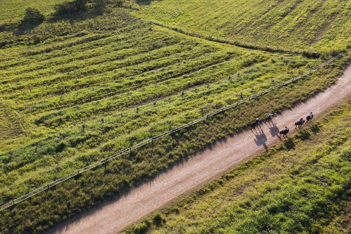 Farm living within a gated security estate, Fairview Estates - Photo 3