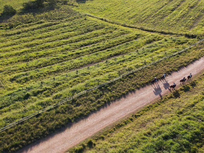 Farm living within a gated security estate, Fairview Estates - Photo 3