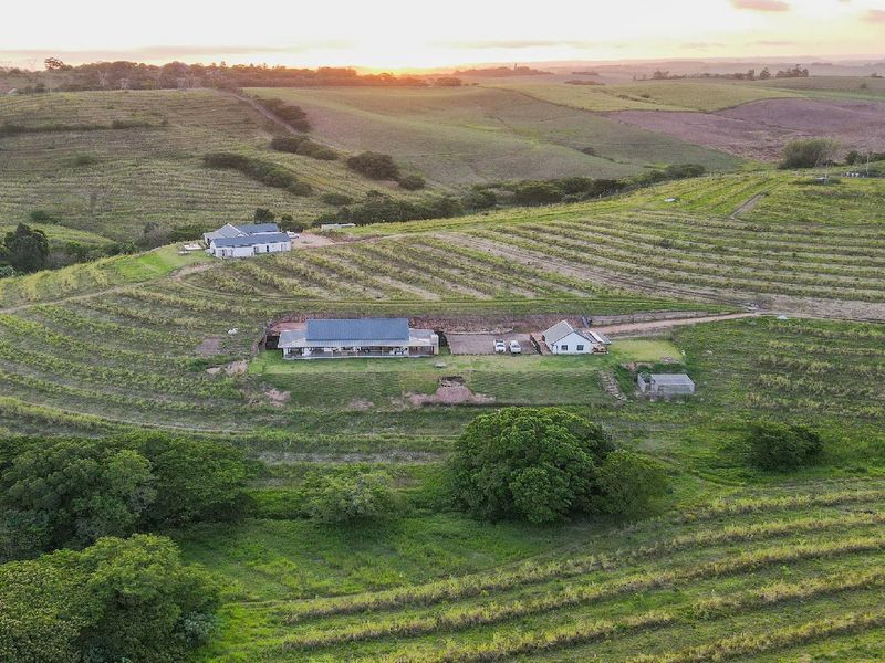 Farm living within a gated security estate, Fairview Estates - Photo 8