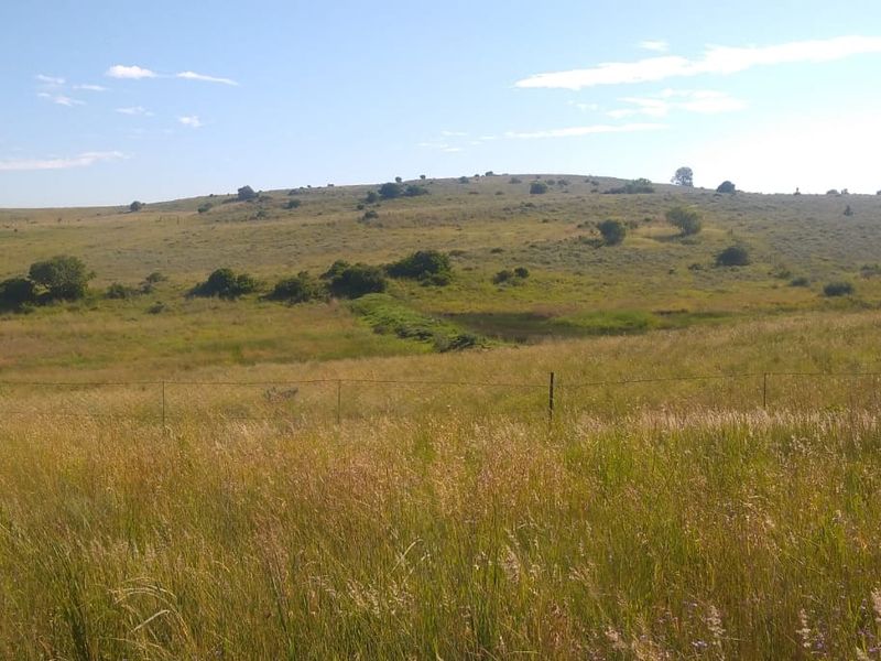 Farm For Sale In Sasolburg - Photo 10