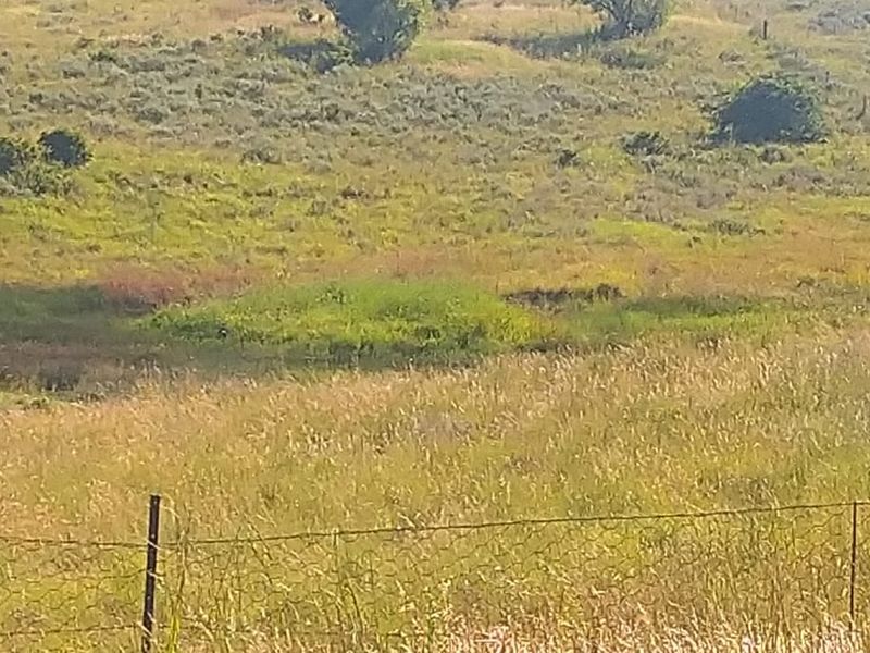 Farm For Sale In Sasolburg - Photo 8