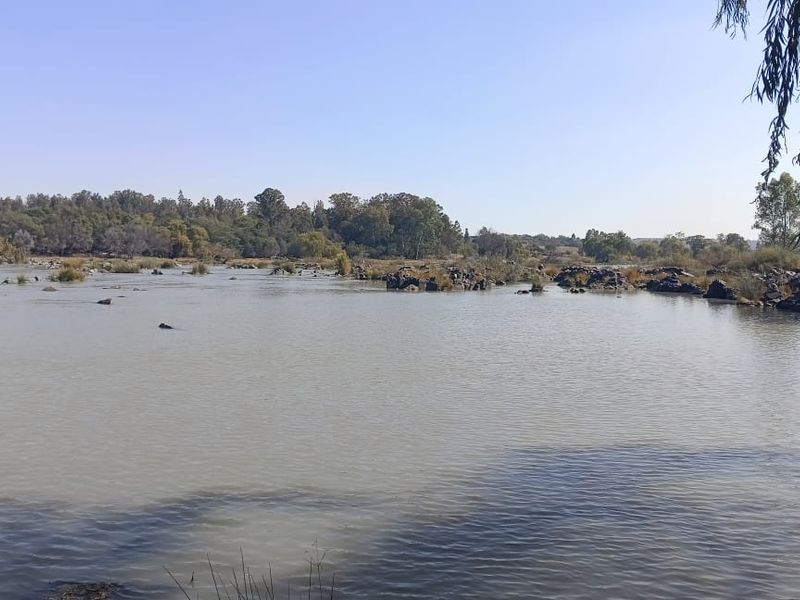 Farm For Sale In Sasolburg - Photo 7