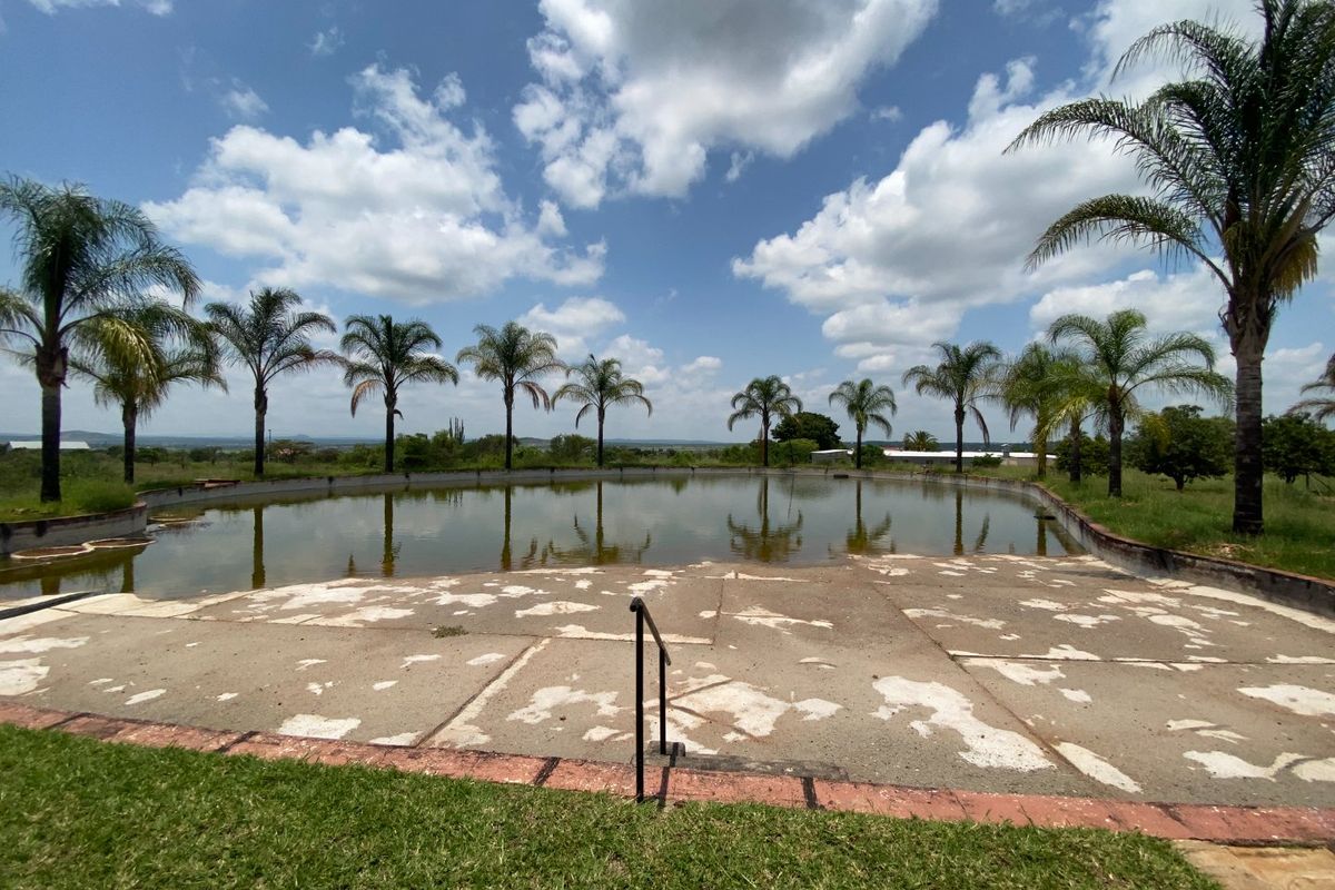 Discover the unique charm of this exceptional smallholding, featuring a spacious 640 m2 workshop. - Photo 5