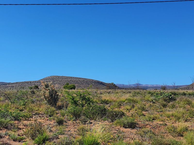 Large 1100 sqm stand with breath taking views in Willowmore - Photo 4