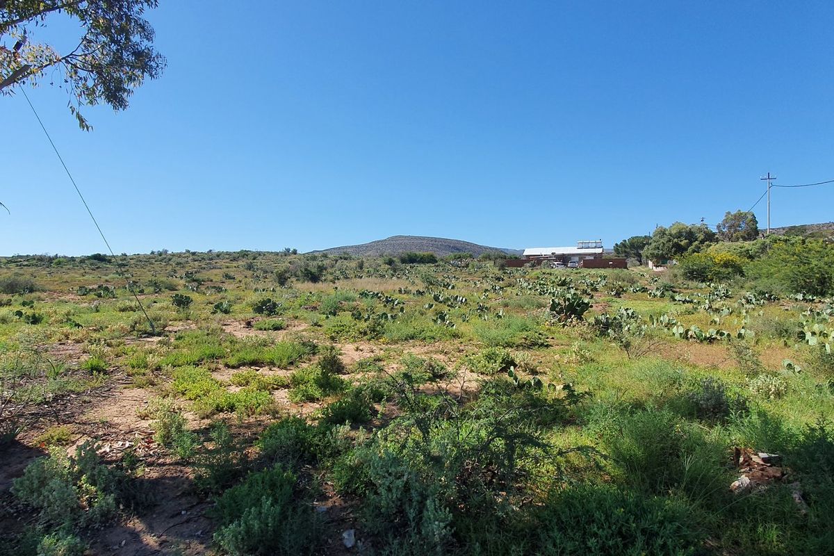 Large 1100 sqm stand with breath taking views in Willowmore - Photo 2