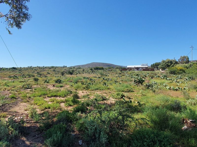 Large 1100 sqm stand with breath taking views in Willowmore - Photo 2