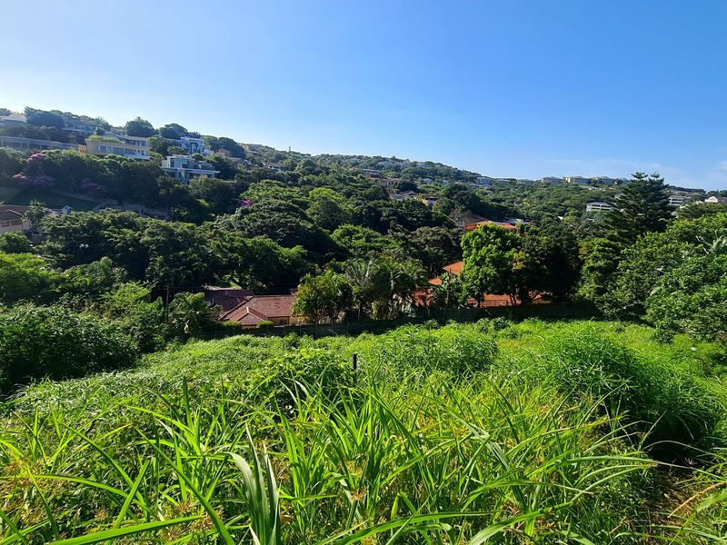 Prime Vacant Land in Ballito's Exclusive Residential Area - Photo 3