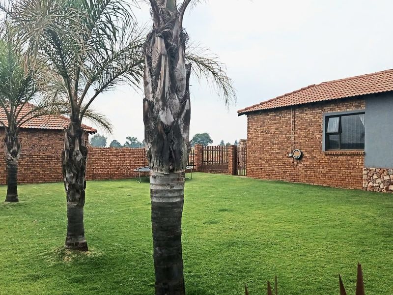 Exceptional small holding nestled in the heart of Nigel - Photo 10