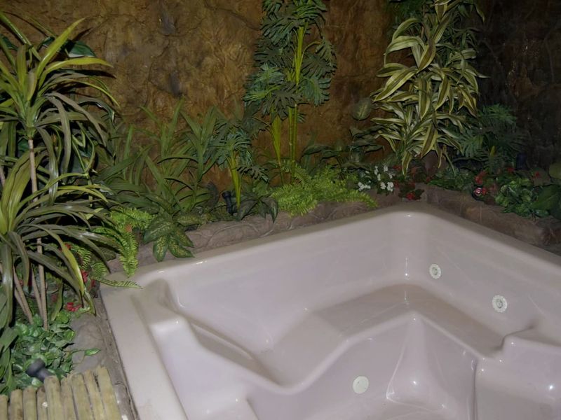 Entertainers dream home in Vaalpark - Photo 4