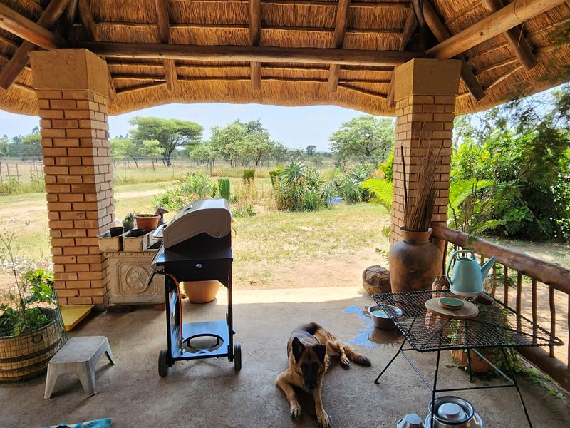 Smallholding for Sale in Myngenoegen – Income Generating Opportunity - Photo 7