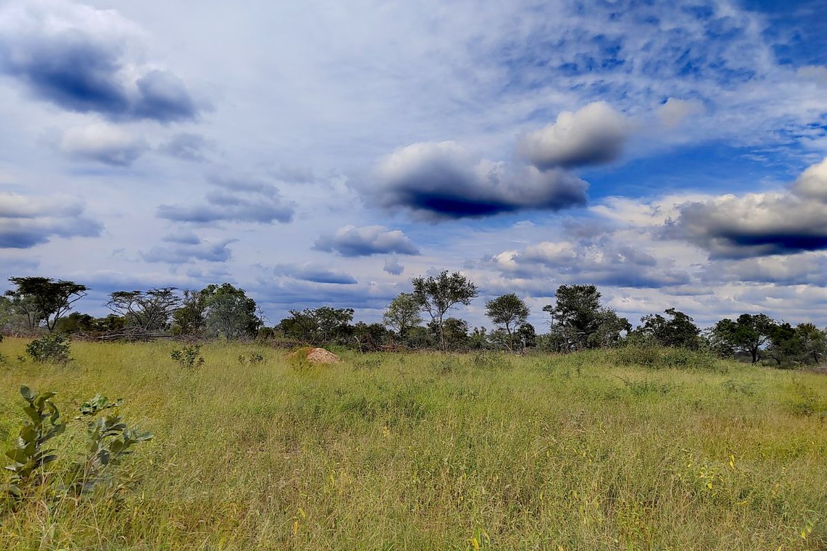 A scenic view of the open farm landscape featuring natural grasslands and scattered indigenous trees under a cloudy sky.