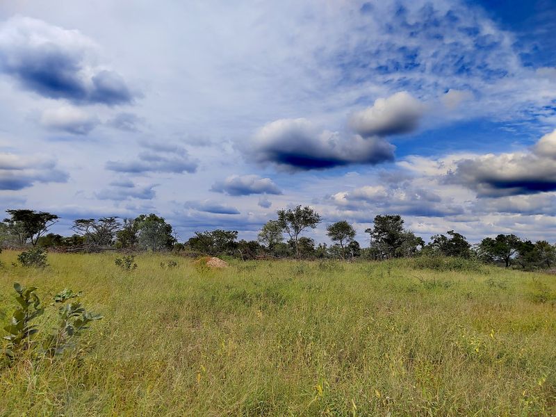 A scenic view of the open farm landscape featuring natural grasslands and scattered indigenous trees under a cloudy sky.