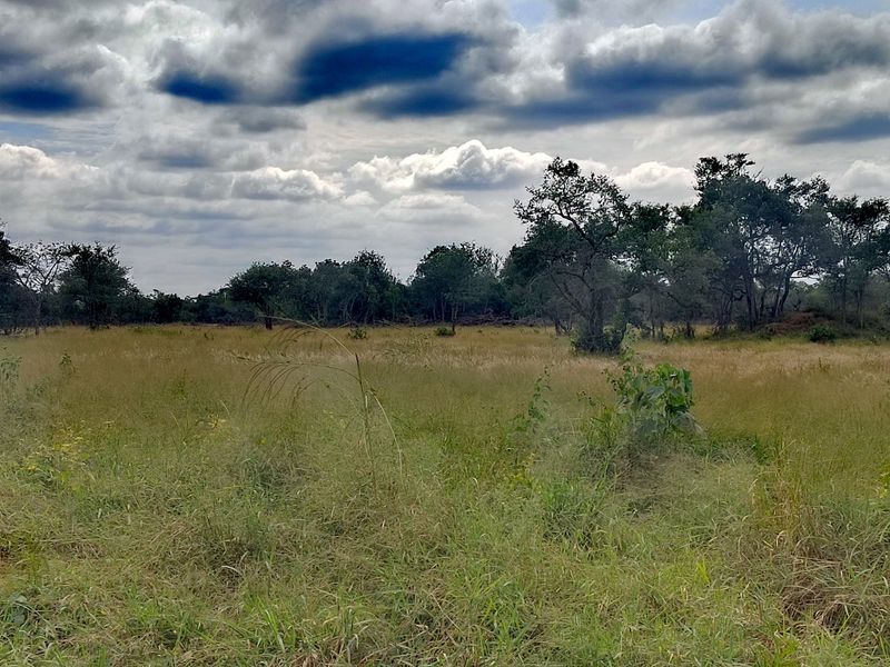 A wide-angle view of the open farm landscape featuring natural grasslands and mature trees under a cloudy sky.
