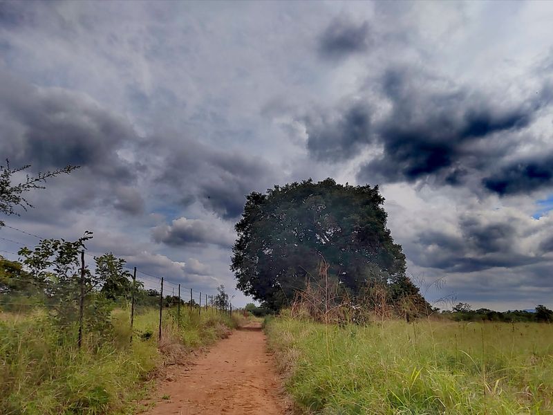A scenic view of a rural farm landscape featuring a dirt track, natural vegetation, and a barbed wire fence under a cloudy sky.